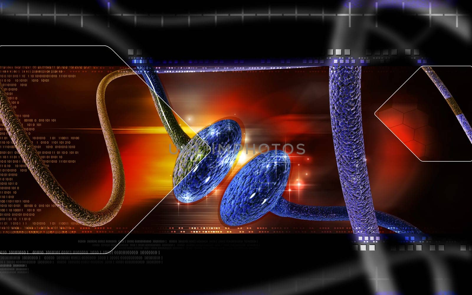 Synapse