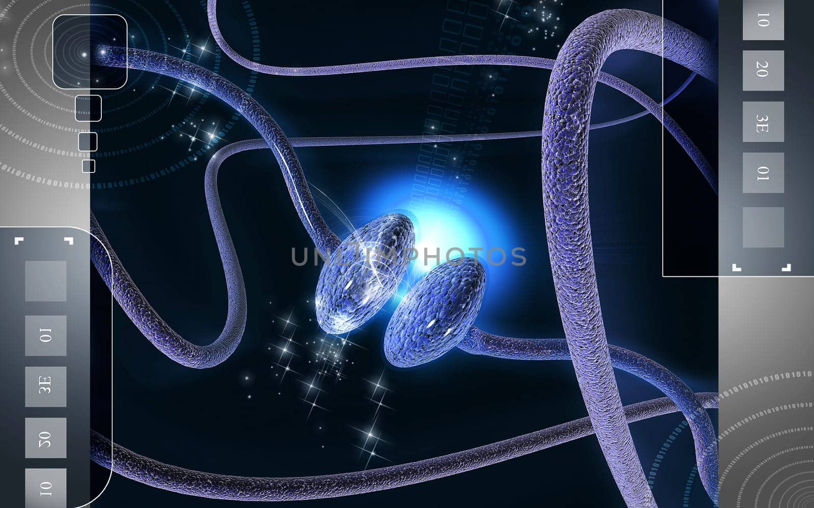 Synapse