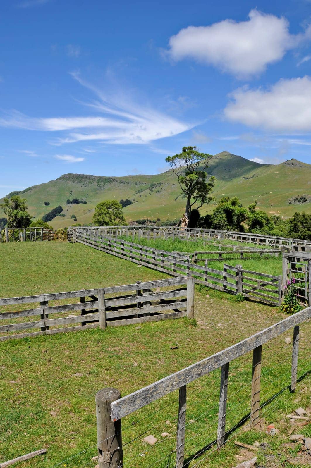 Akaroa Peninsula