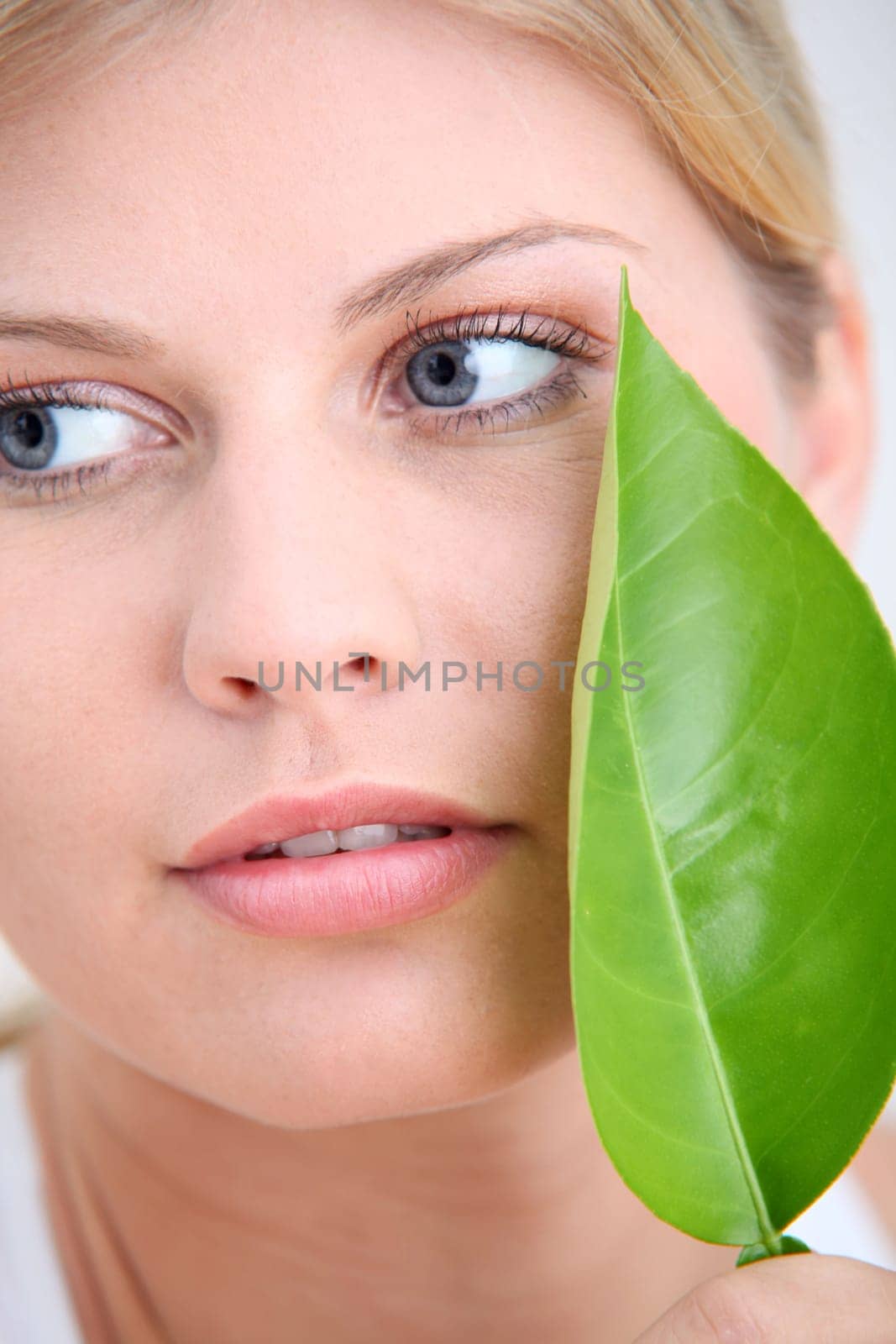 Closeup of beautiful woman holding green plant leaf