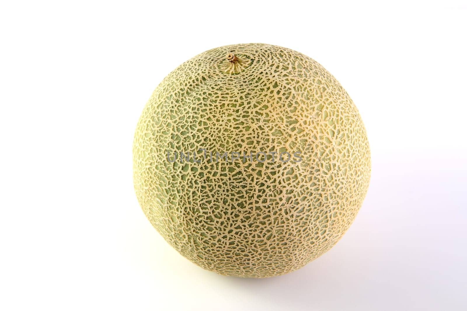 Reticulated melon