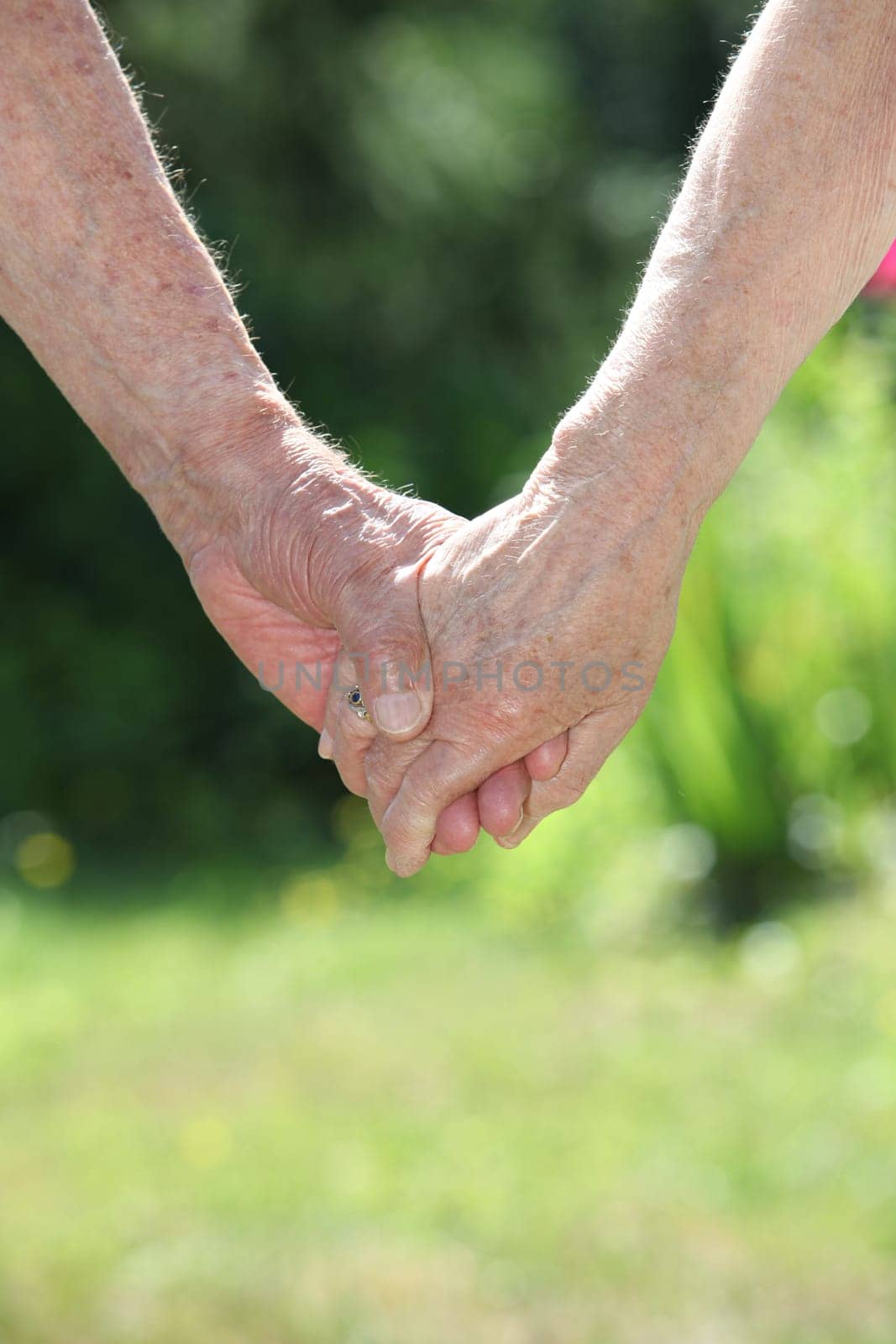 Closeup of elderly couple holding hands