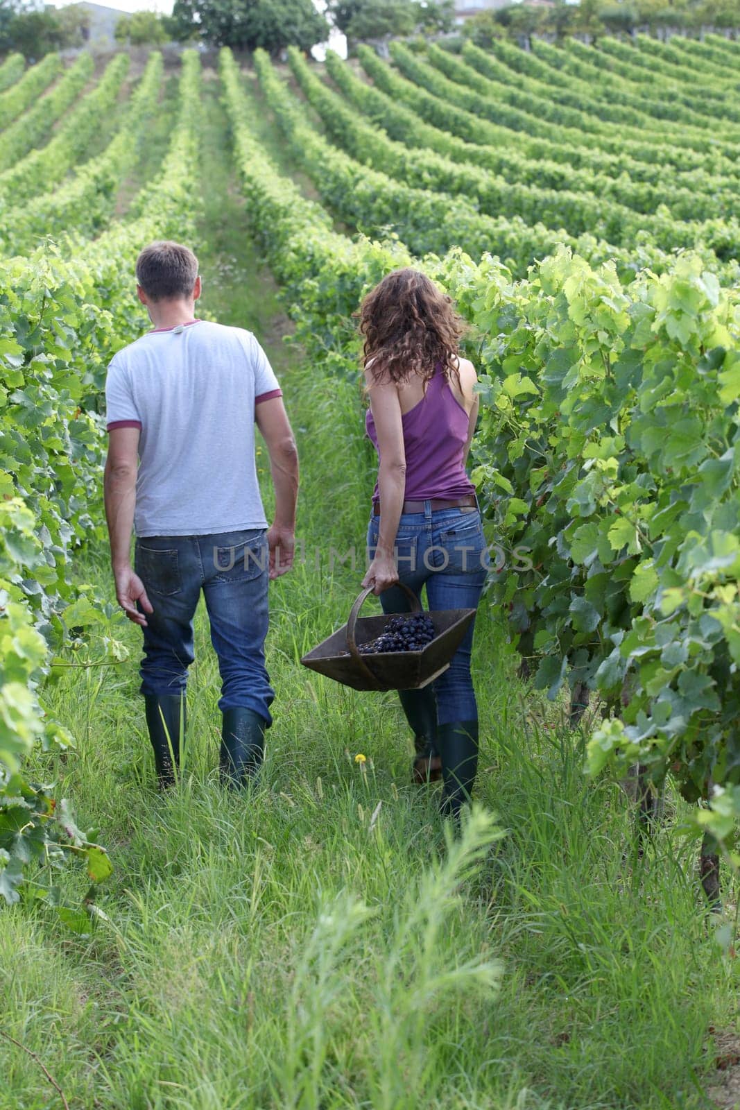 Happy couple standing in vineyard