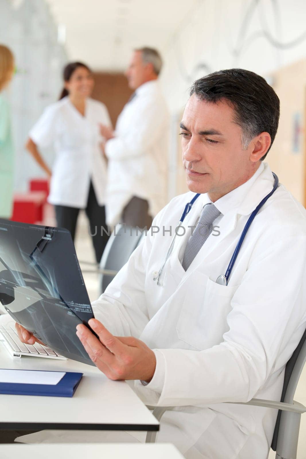Radiologist looking at xray