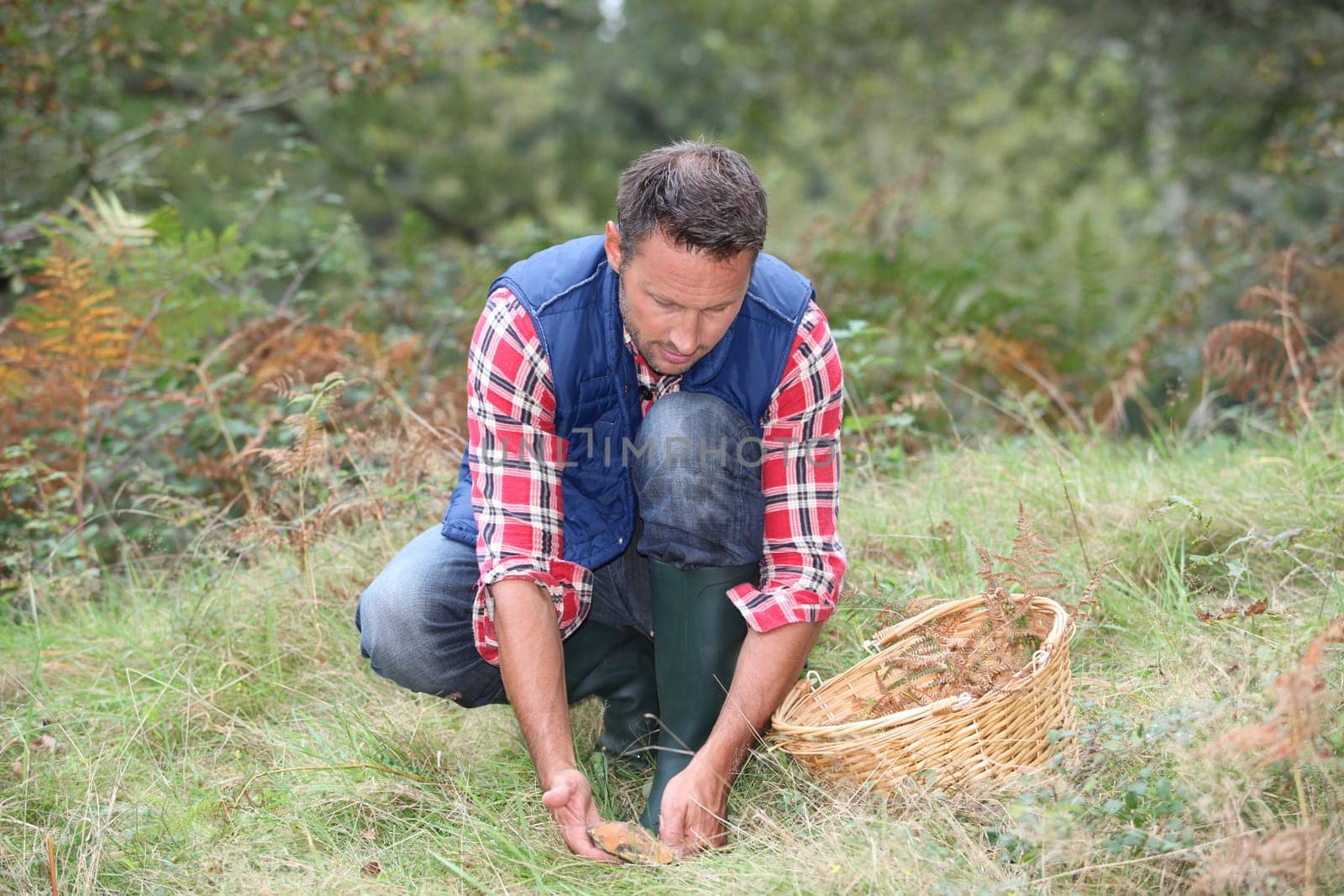 Closeup of man with basket looking for mushrooms on the ground