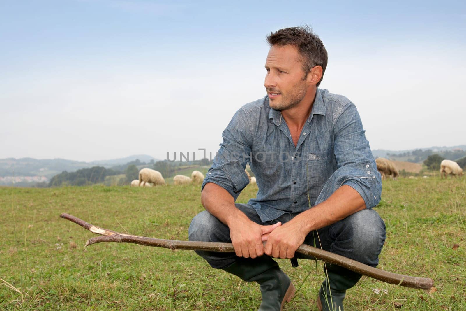 Shepherd standing in green field with sheeps