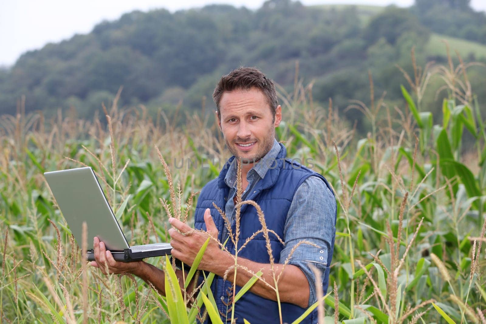 Agronomist analysing cereals with laptop computer