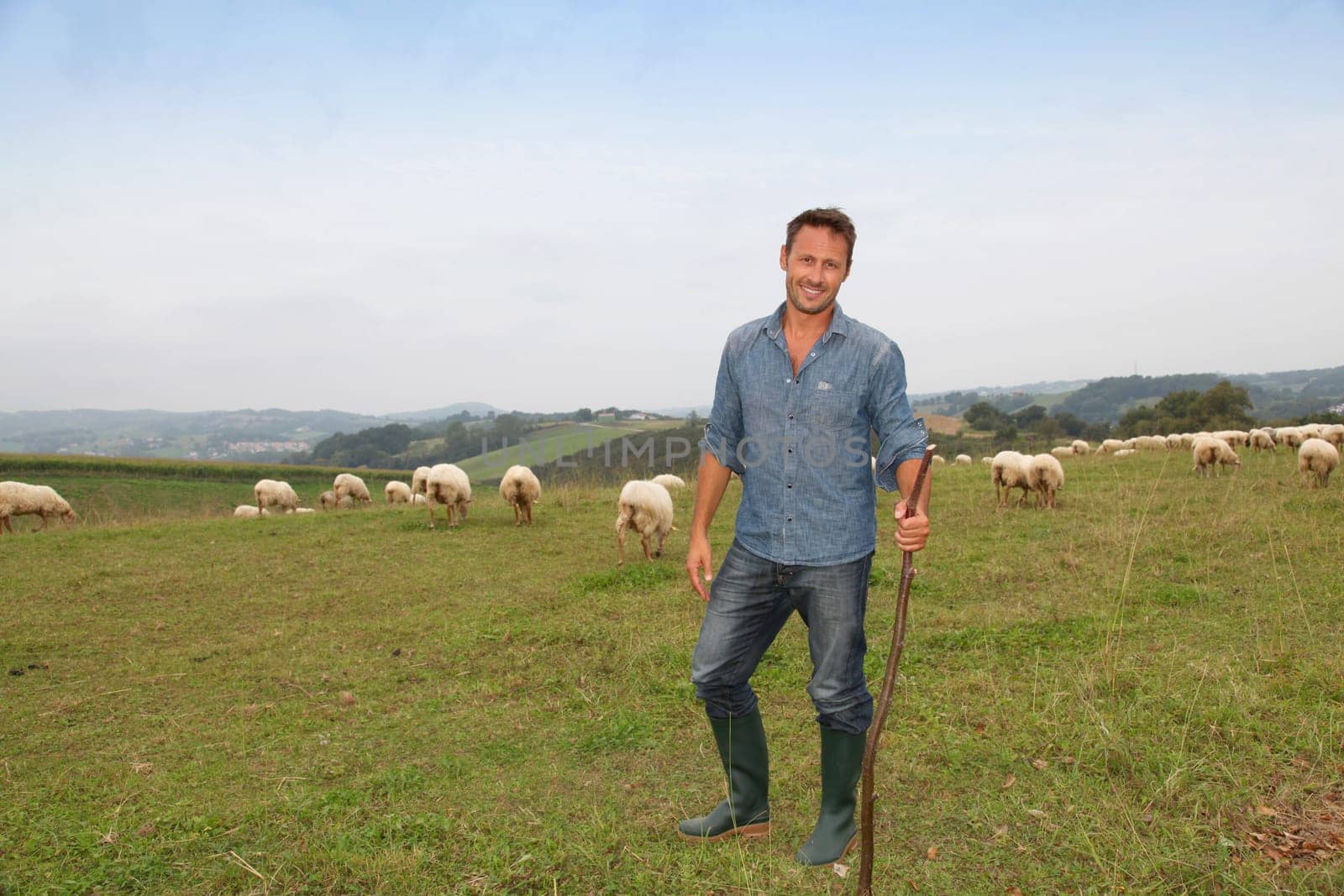 Shepherd standing in green field with sheeps