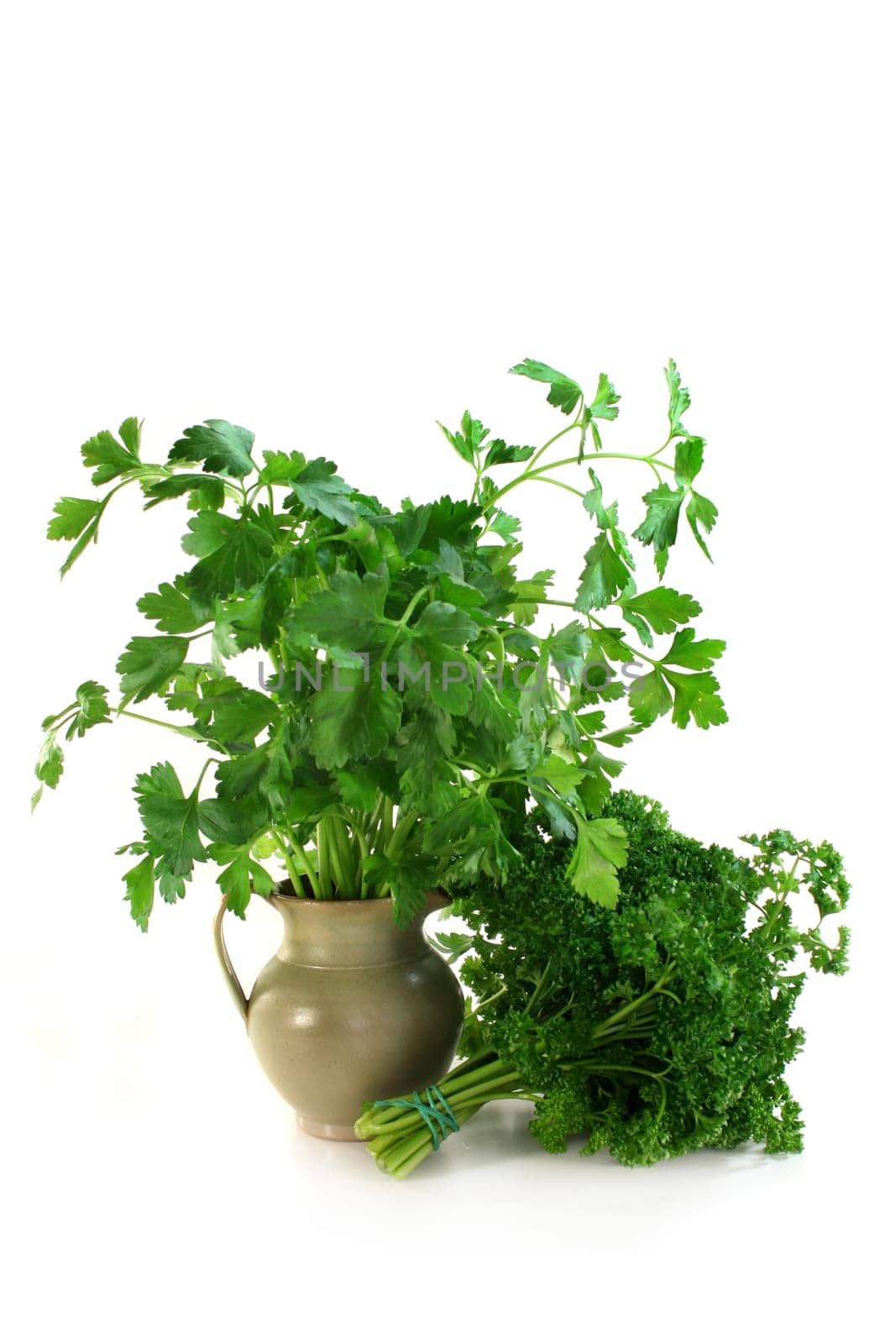 Parsley