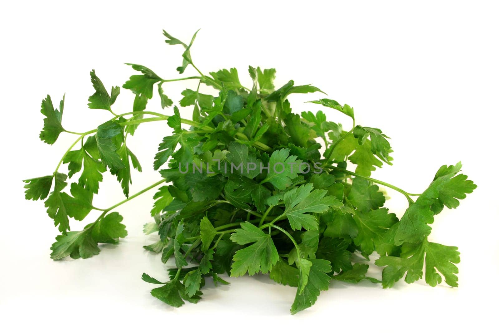 Parsley