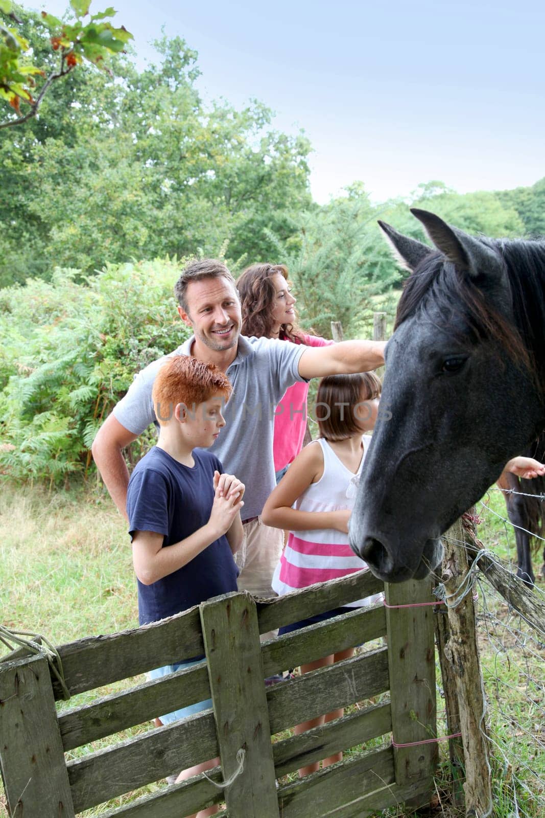 Parents and children petting horses in countryside