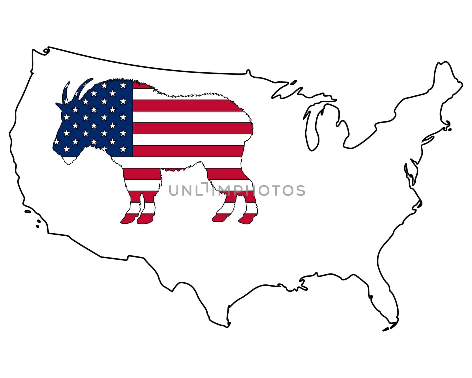Mountain Goat USA