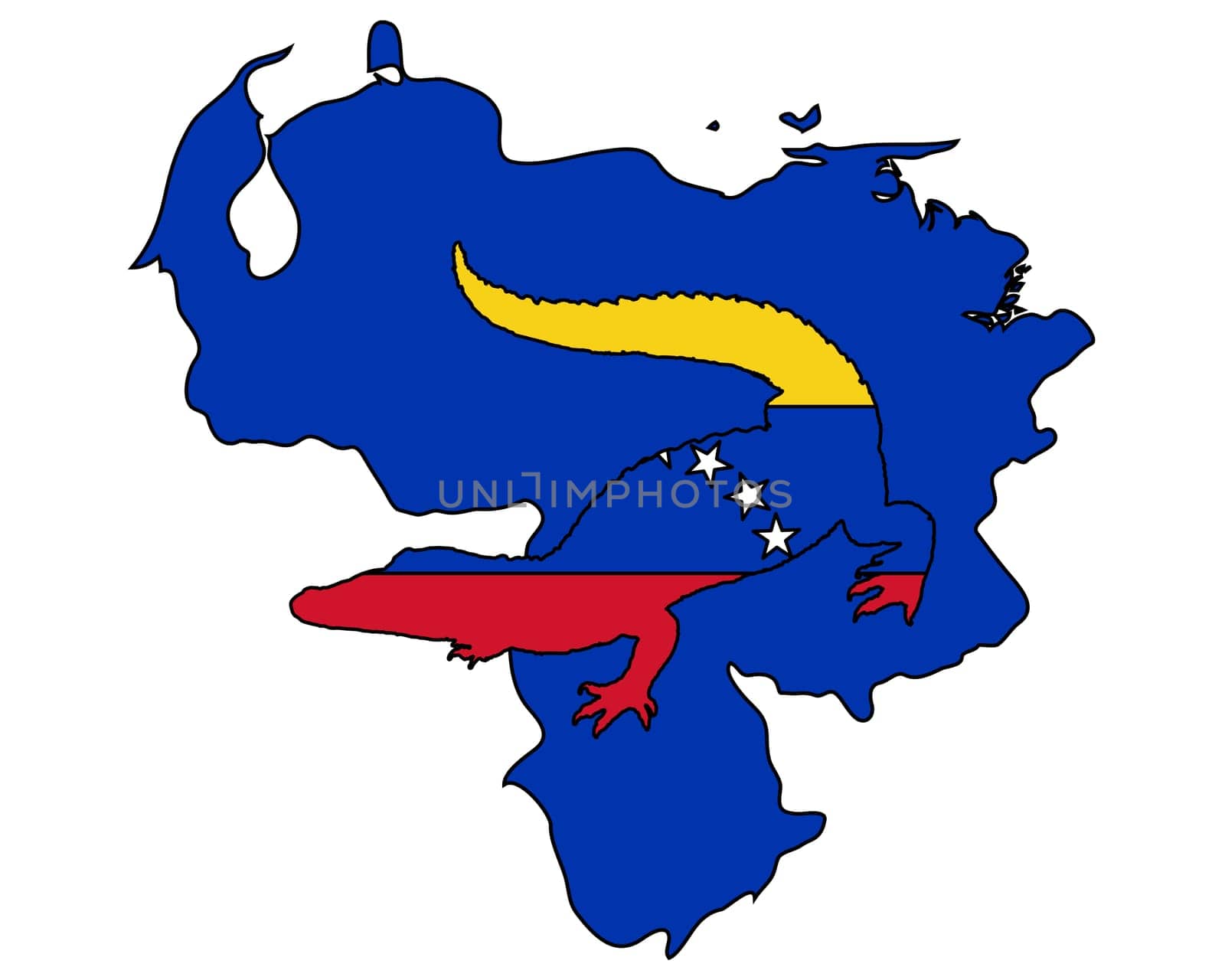 Crocodile Venezuela
