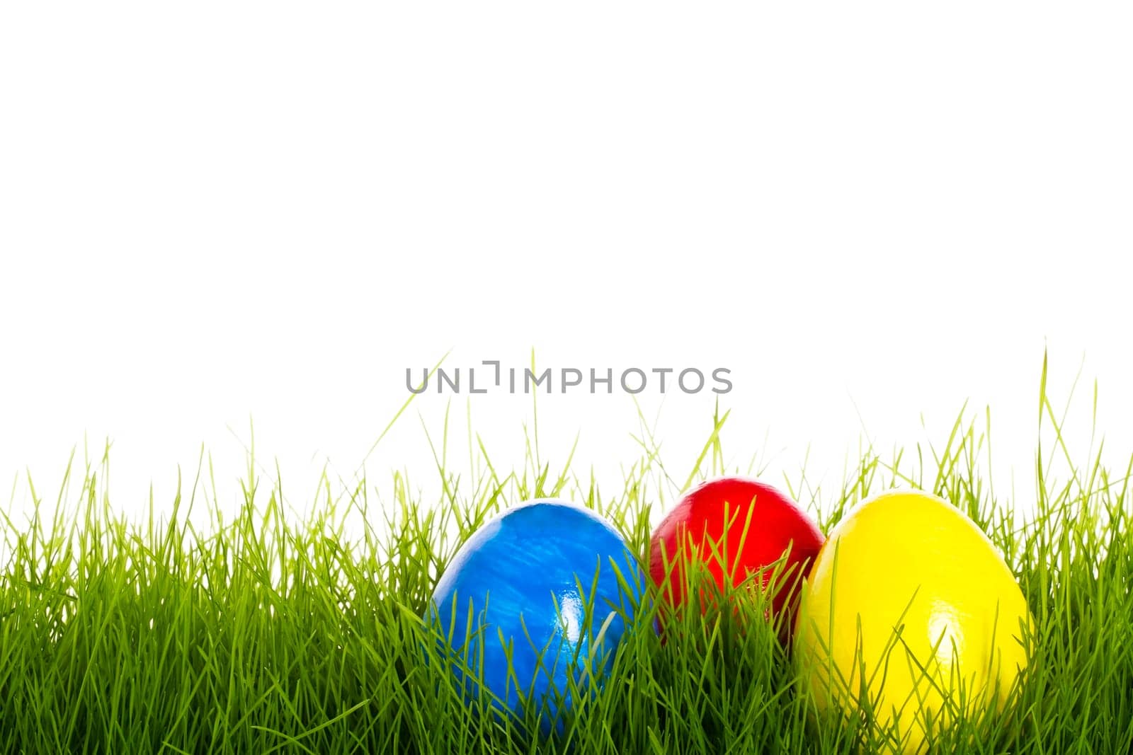 Red Blue And Yellow Easter Egg In Grass