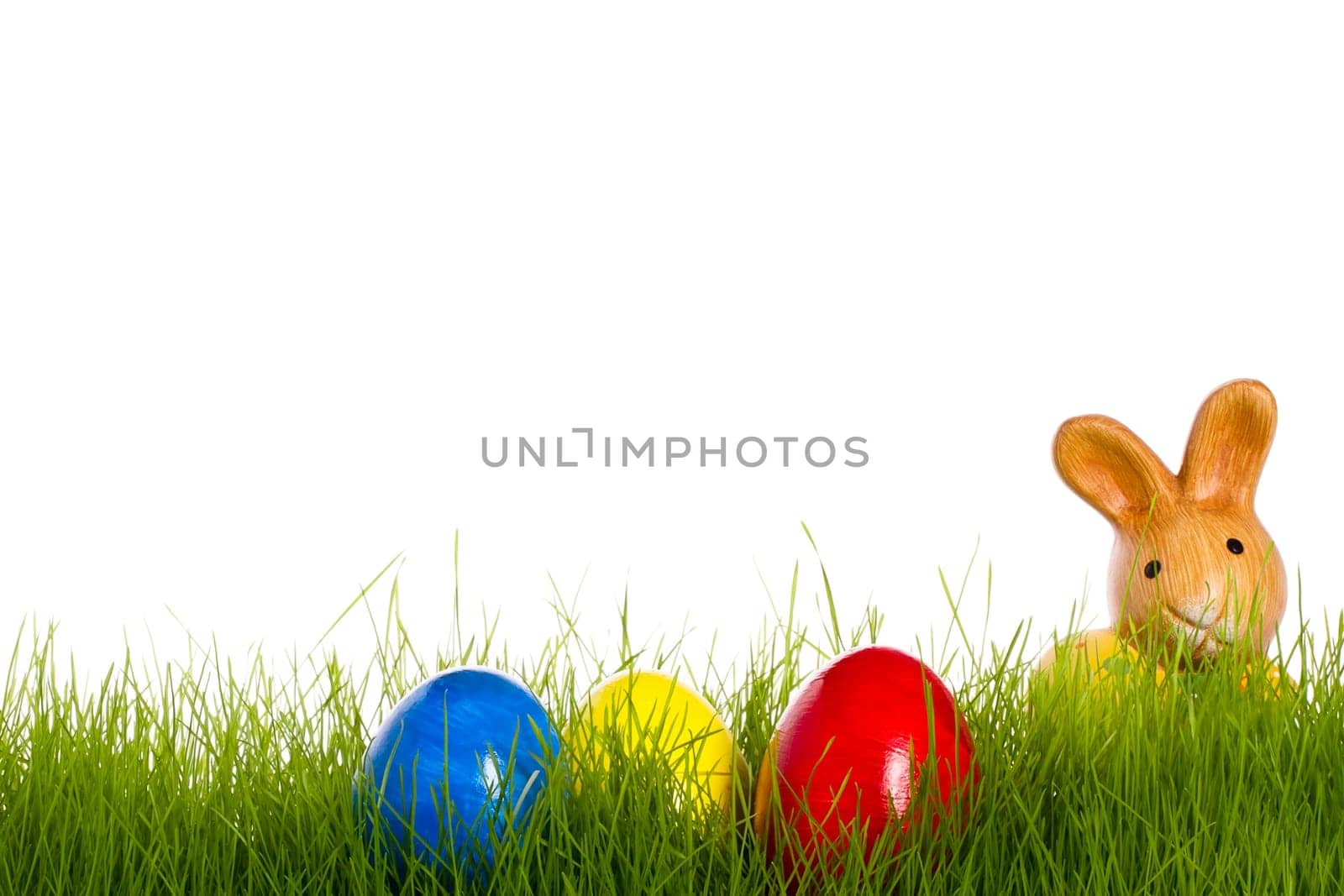Little Easter bunny with easter eggs in grass