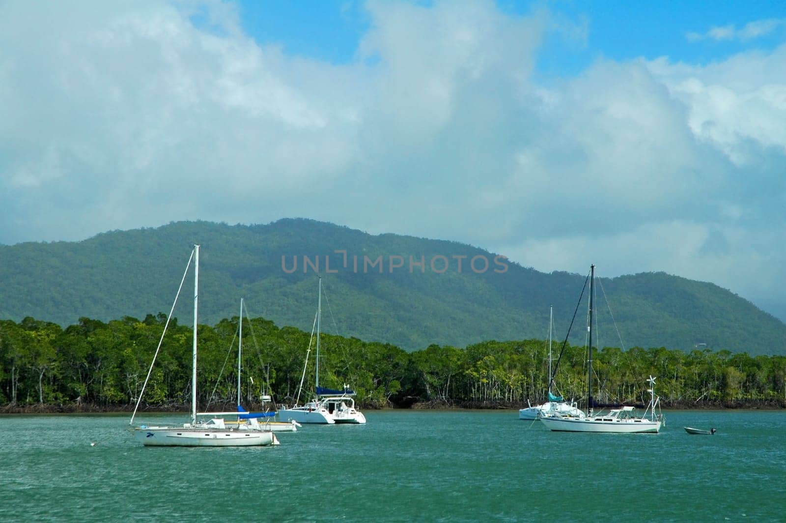 sailboats