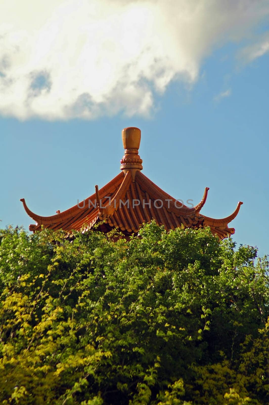 chinatown detail