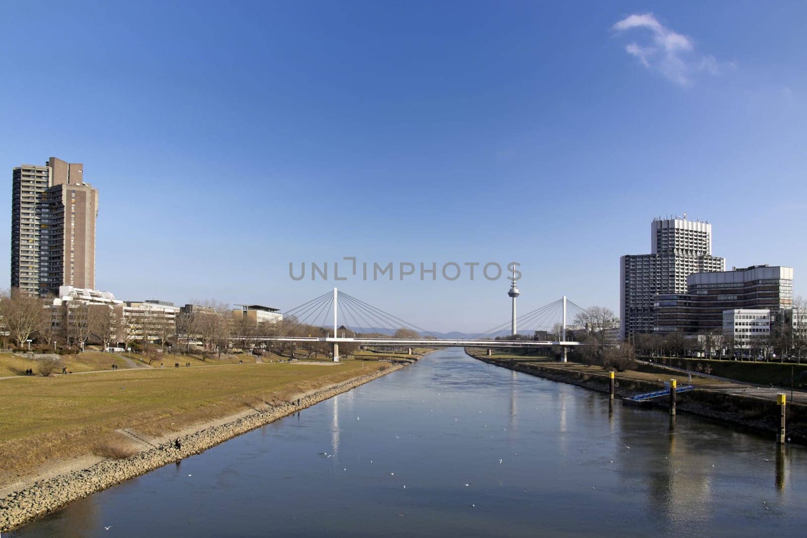… from the Kurpfalzbrücke in an easterly direction (upstream of the Neckar) with one of the high-rise buildings on the Neckar promenade (left),the Collini Center (right) and the telecommunications tower at Luisenpark (in the background)
