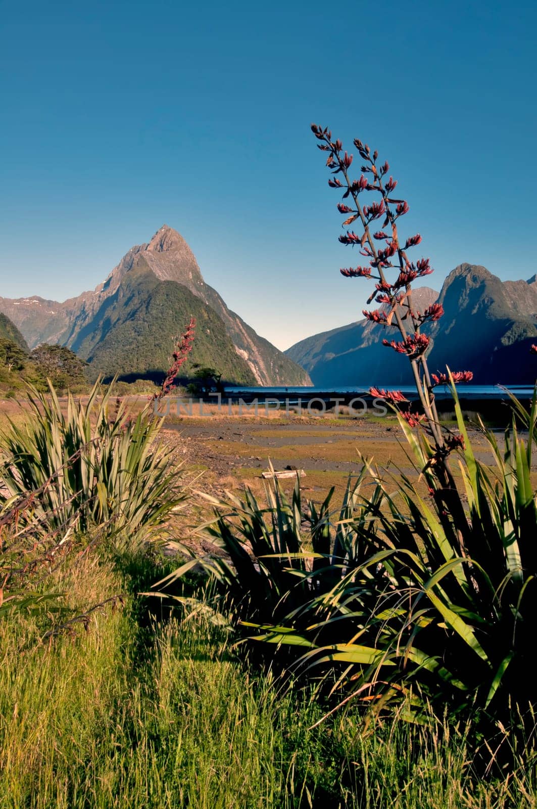 Milford Sound II