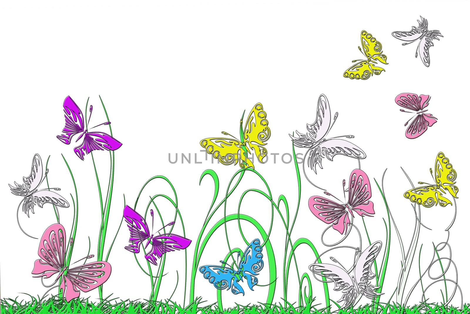 Butterflies