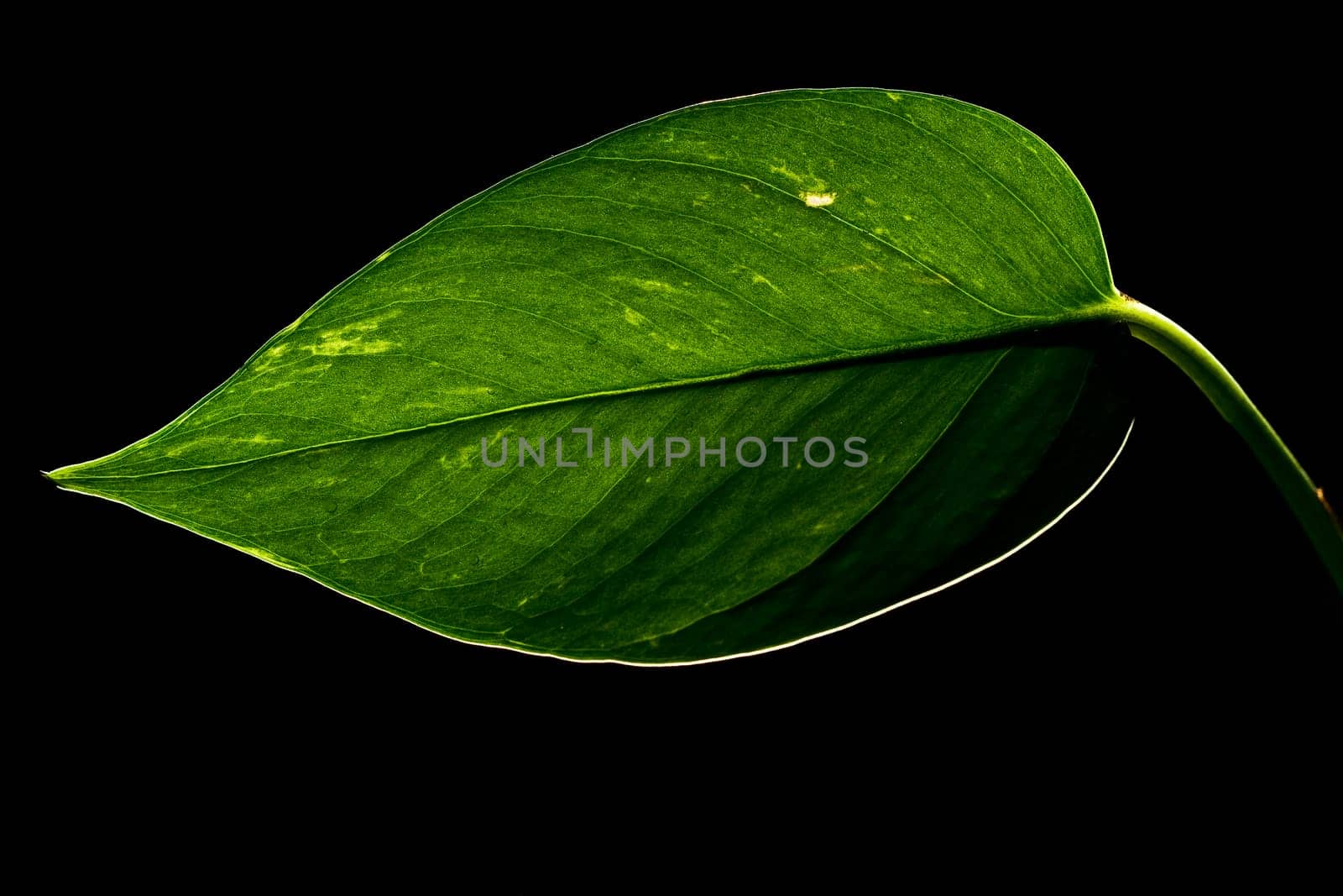 large emerald