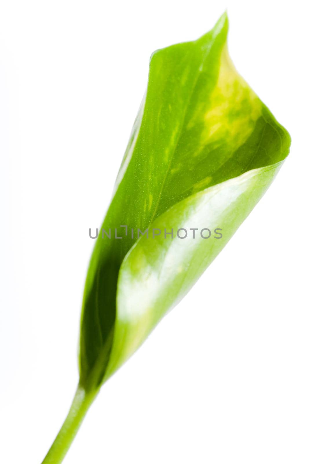 large emerald