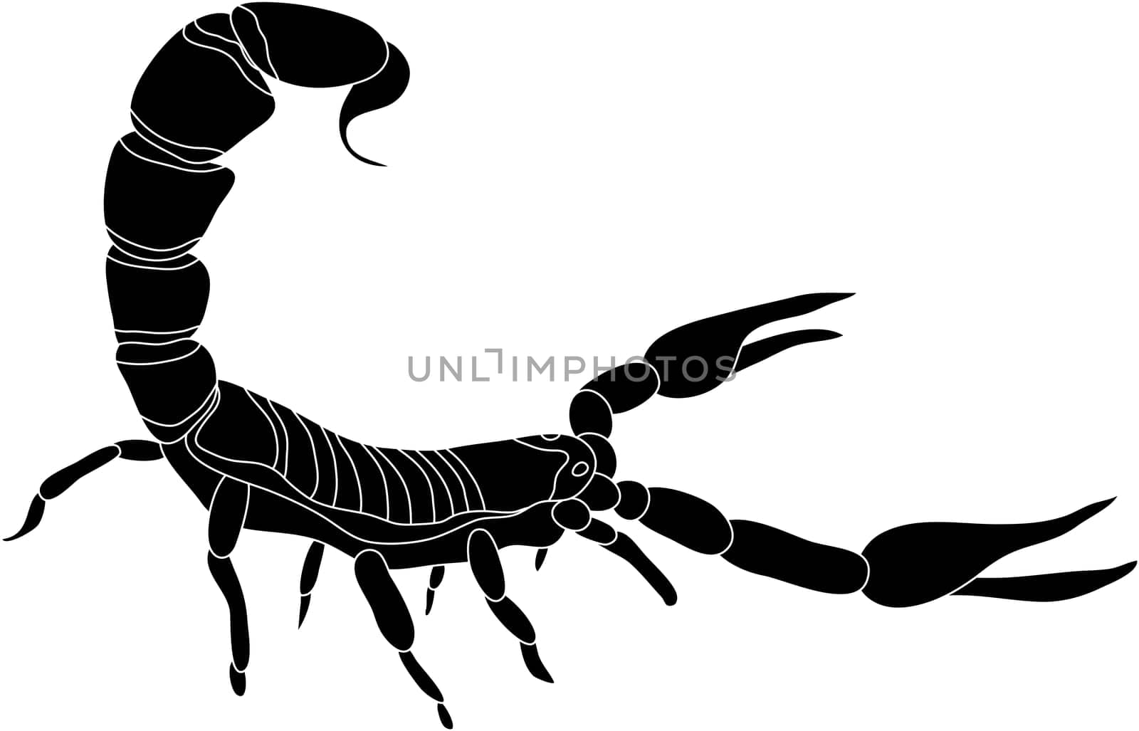 scorpion