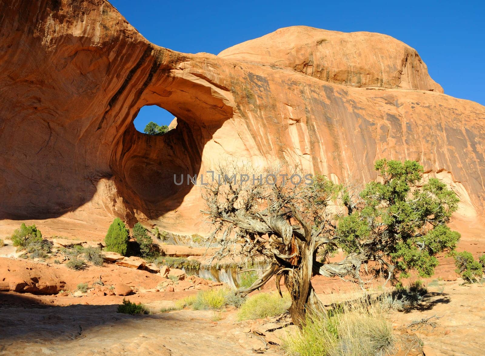 Bowtie Arch near Moab