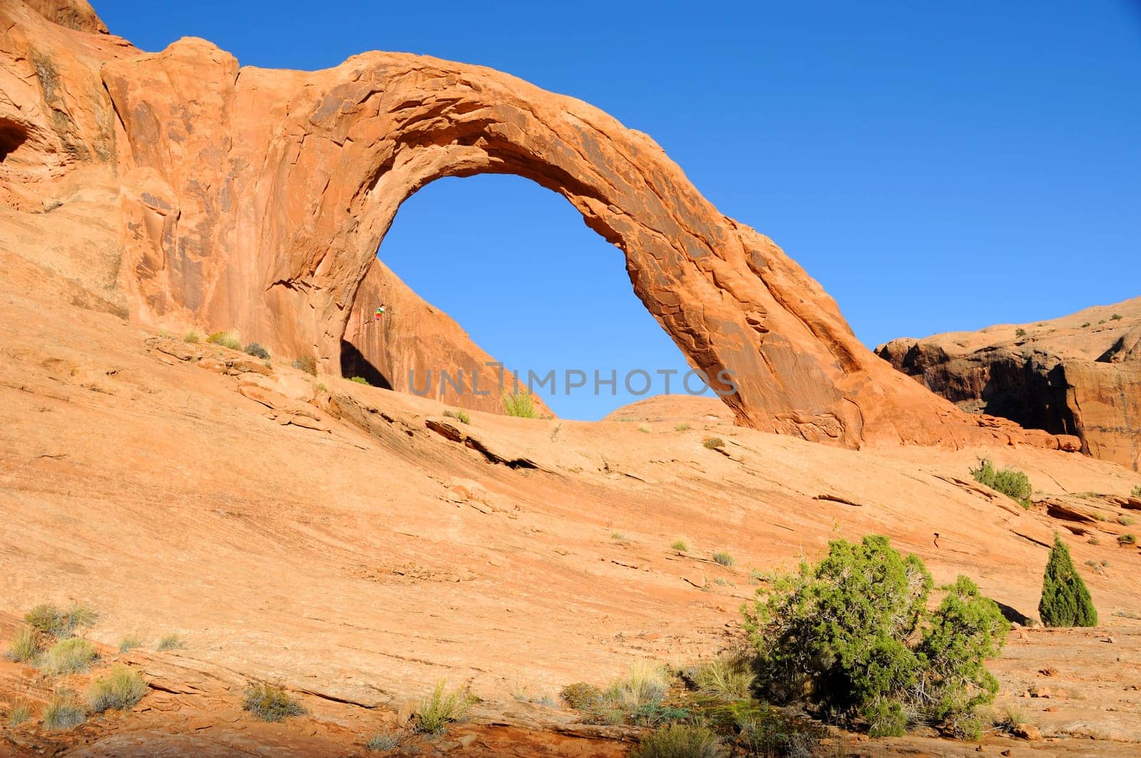 Corona Arch in Southern Utah