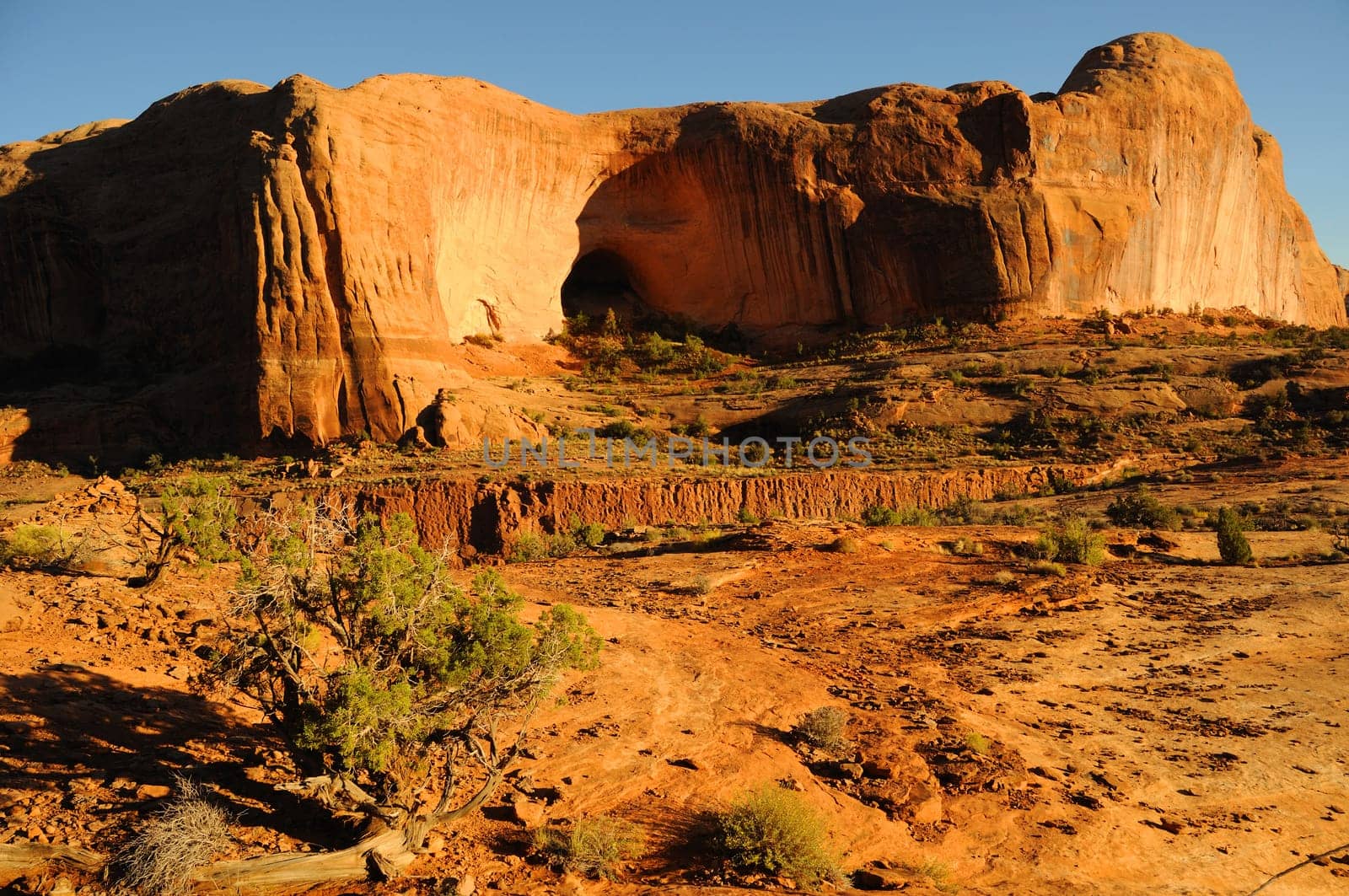 Sandstone Cliffs at Sunset near Moab