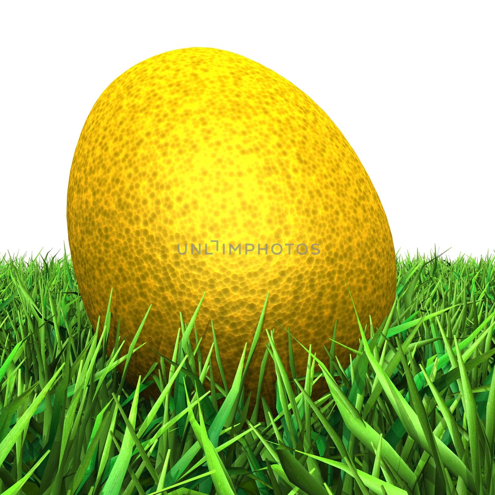 The golden egg in the grass