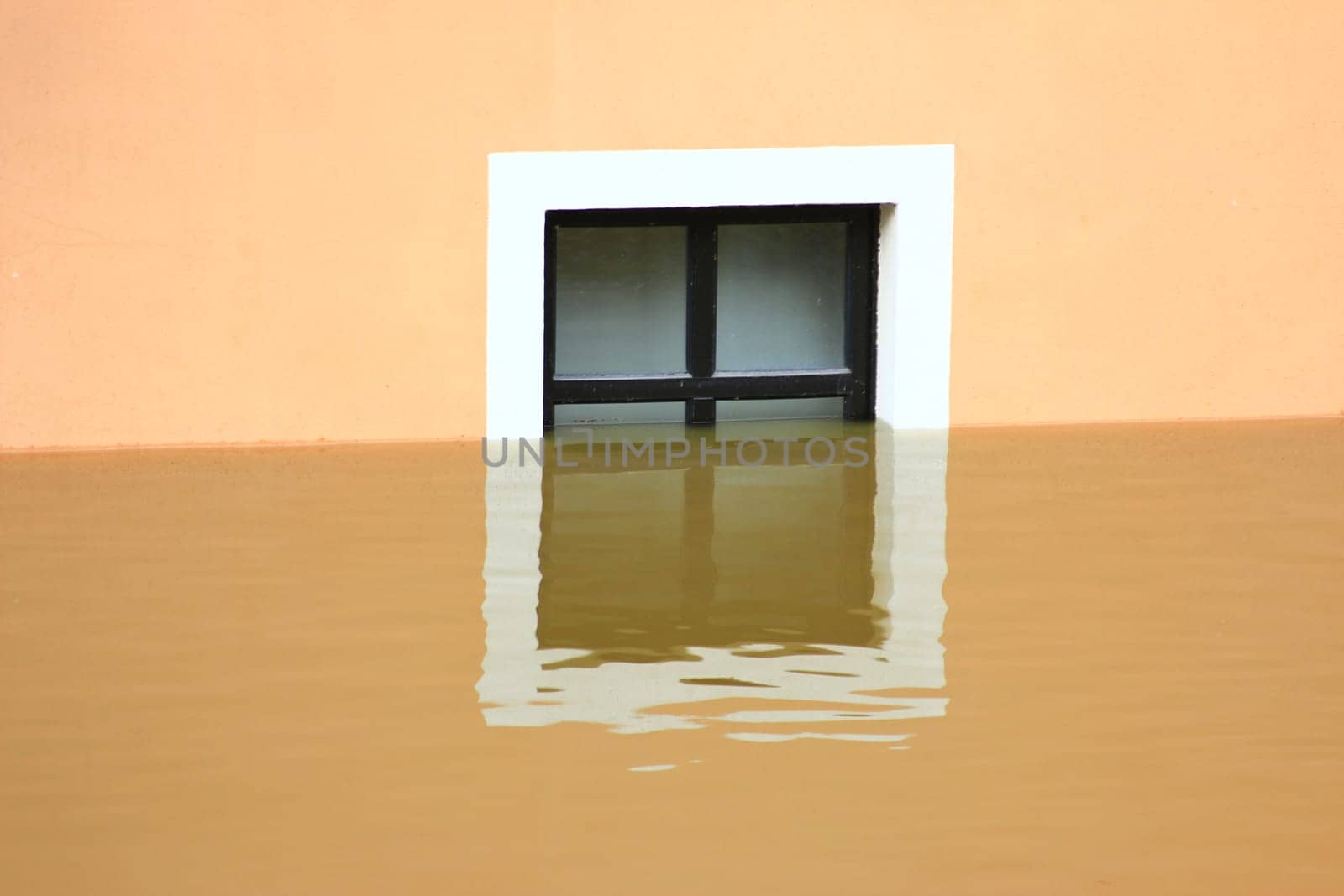 Flood