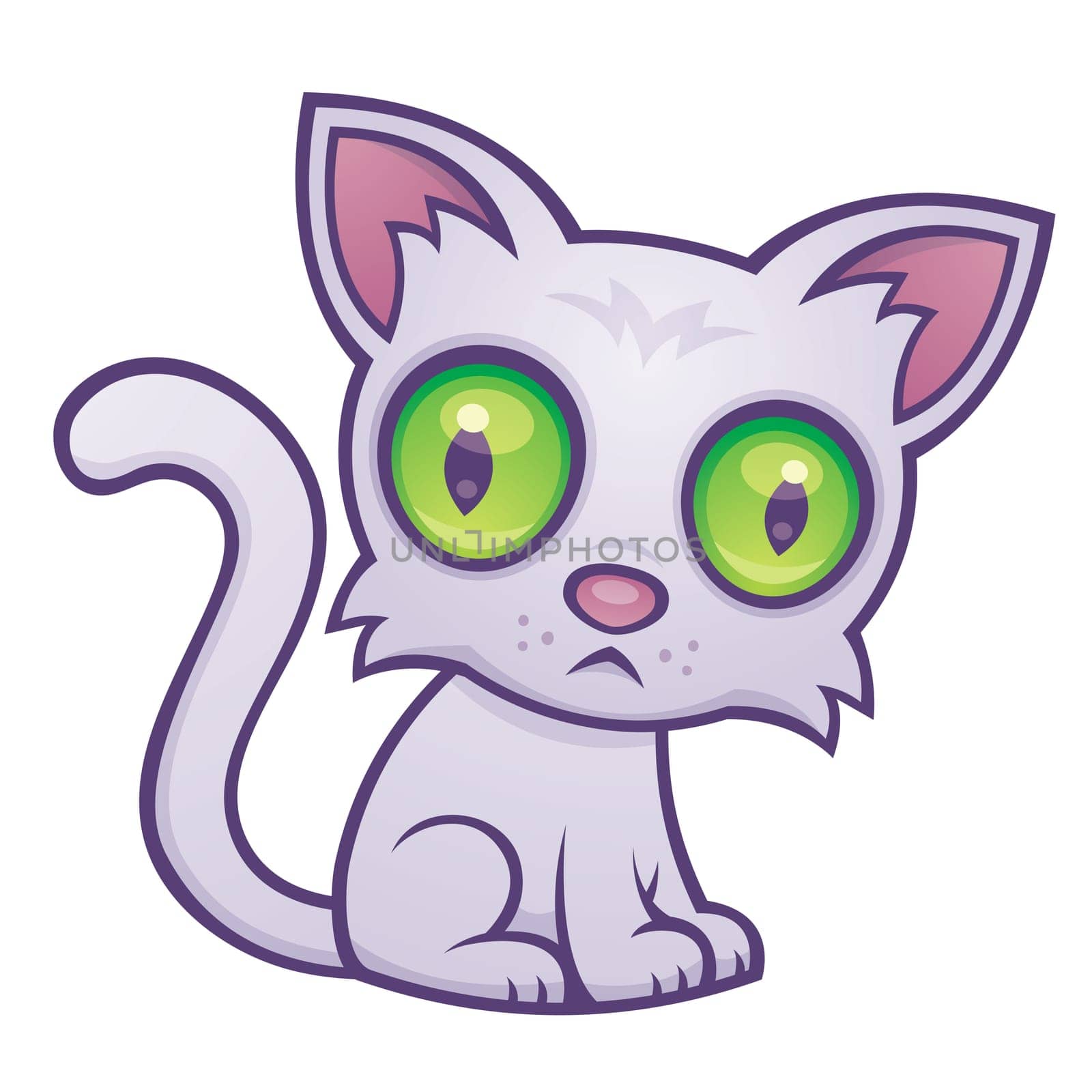Cute Kitten