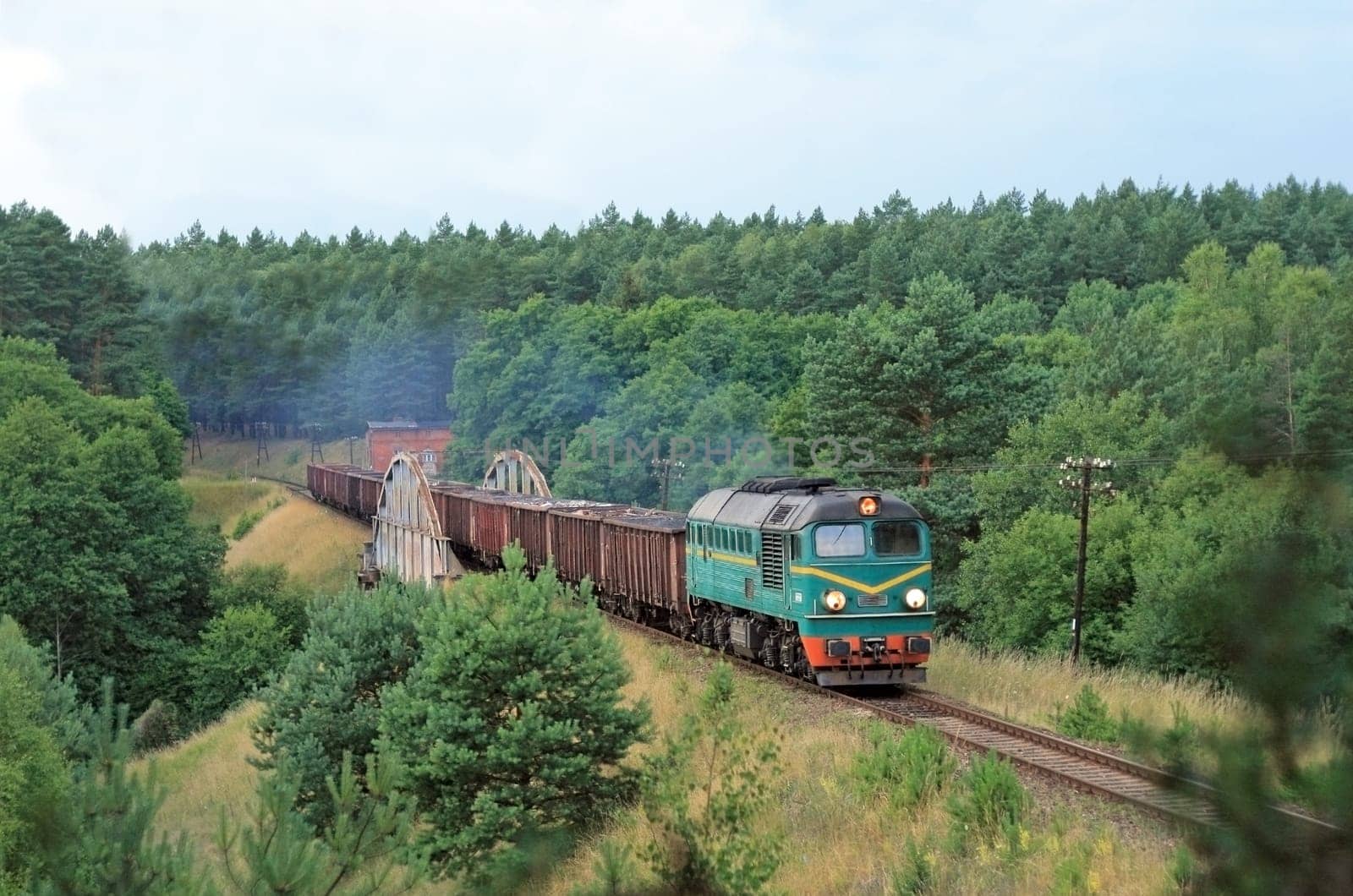 Freight train entering the forest