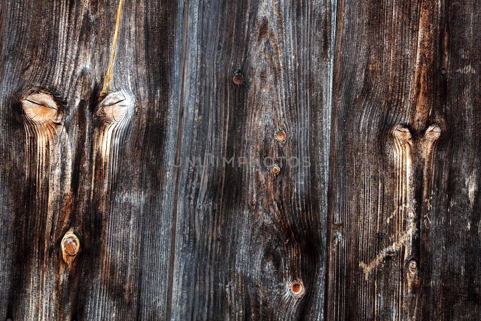 The Wooden Faces