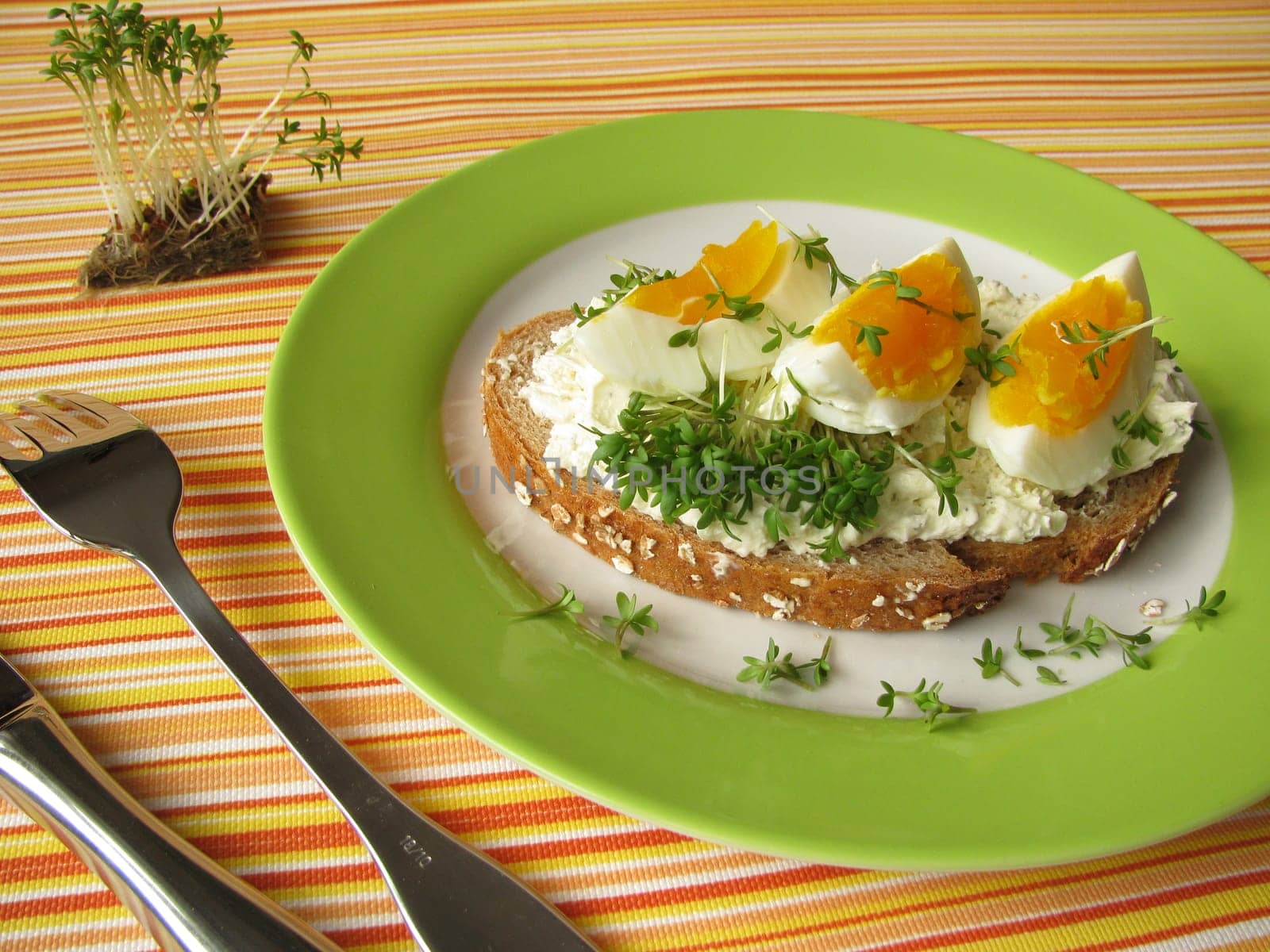 Wholemeal spelt bread with cream cheese and egg