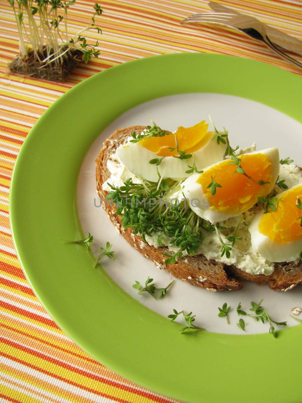 Wholemeal spelt bread with cream cheese and egg