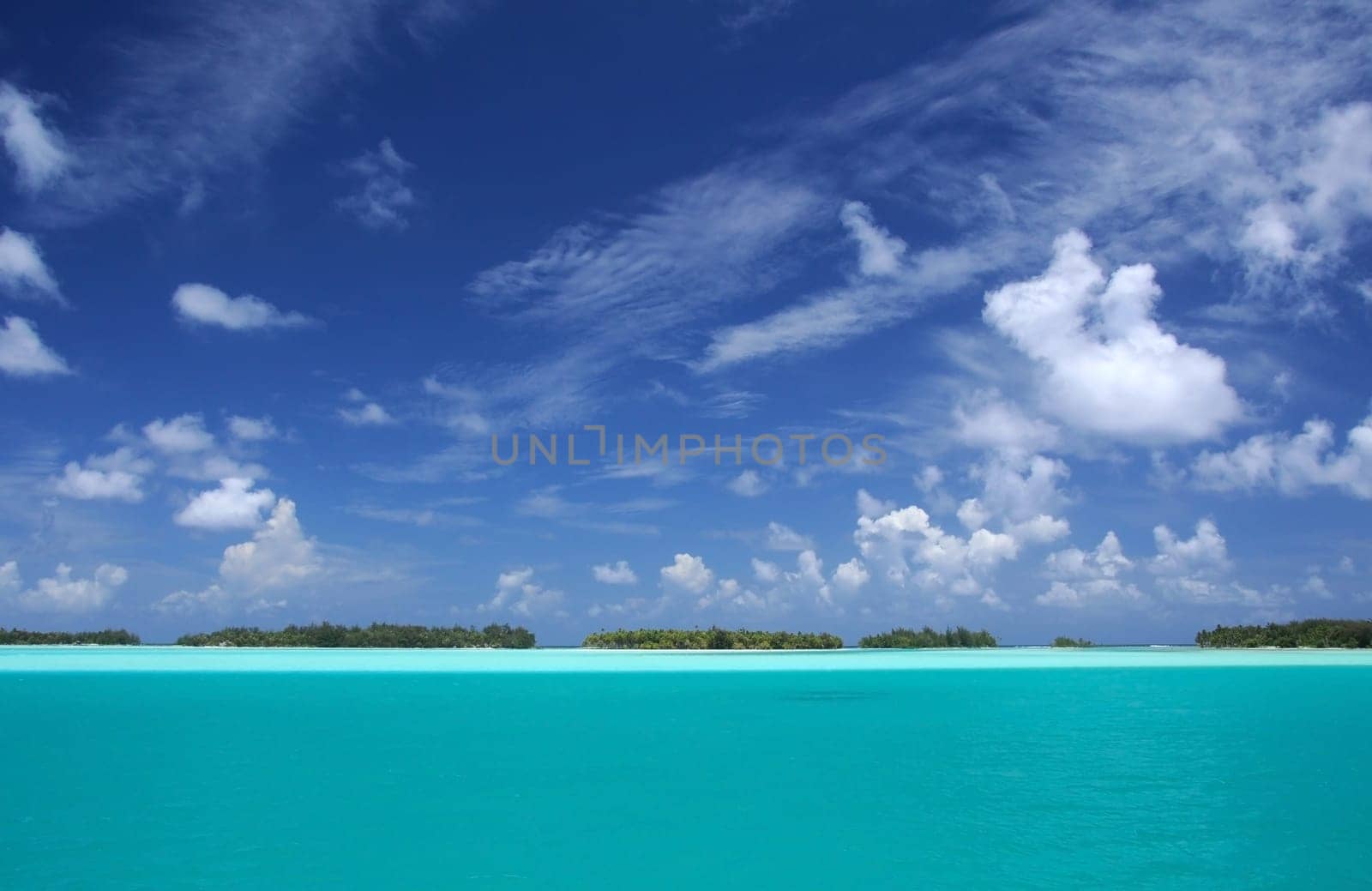 South Sea Motus