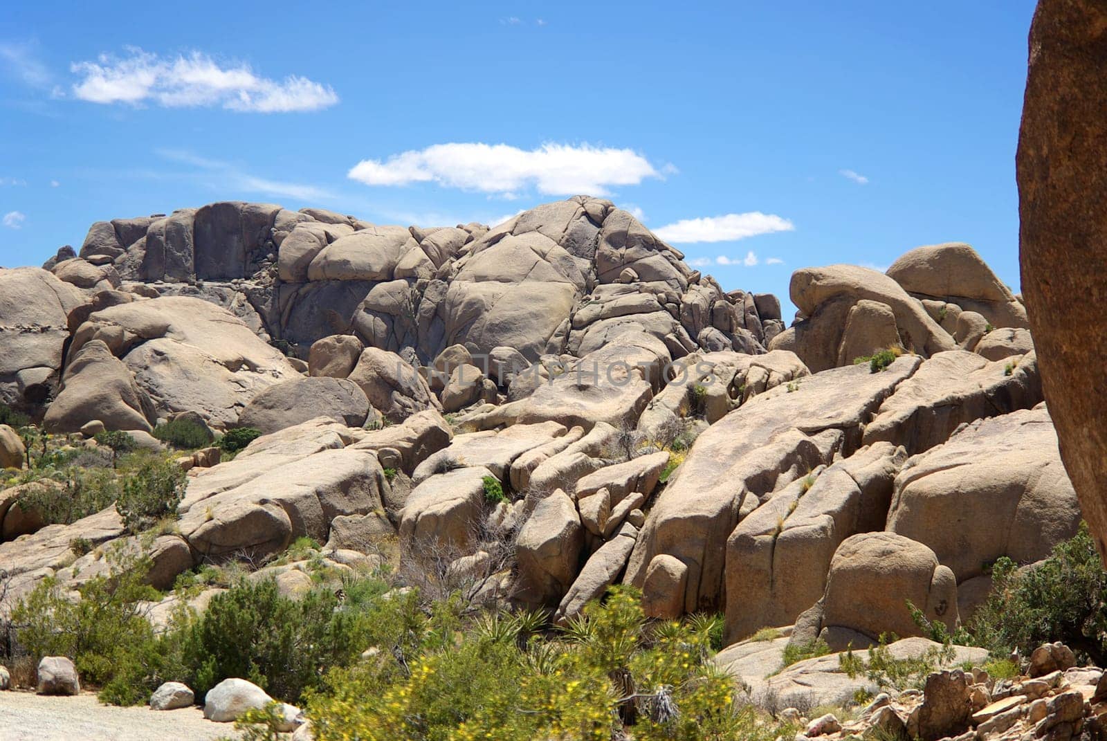 Joshua Tree National Park