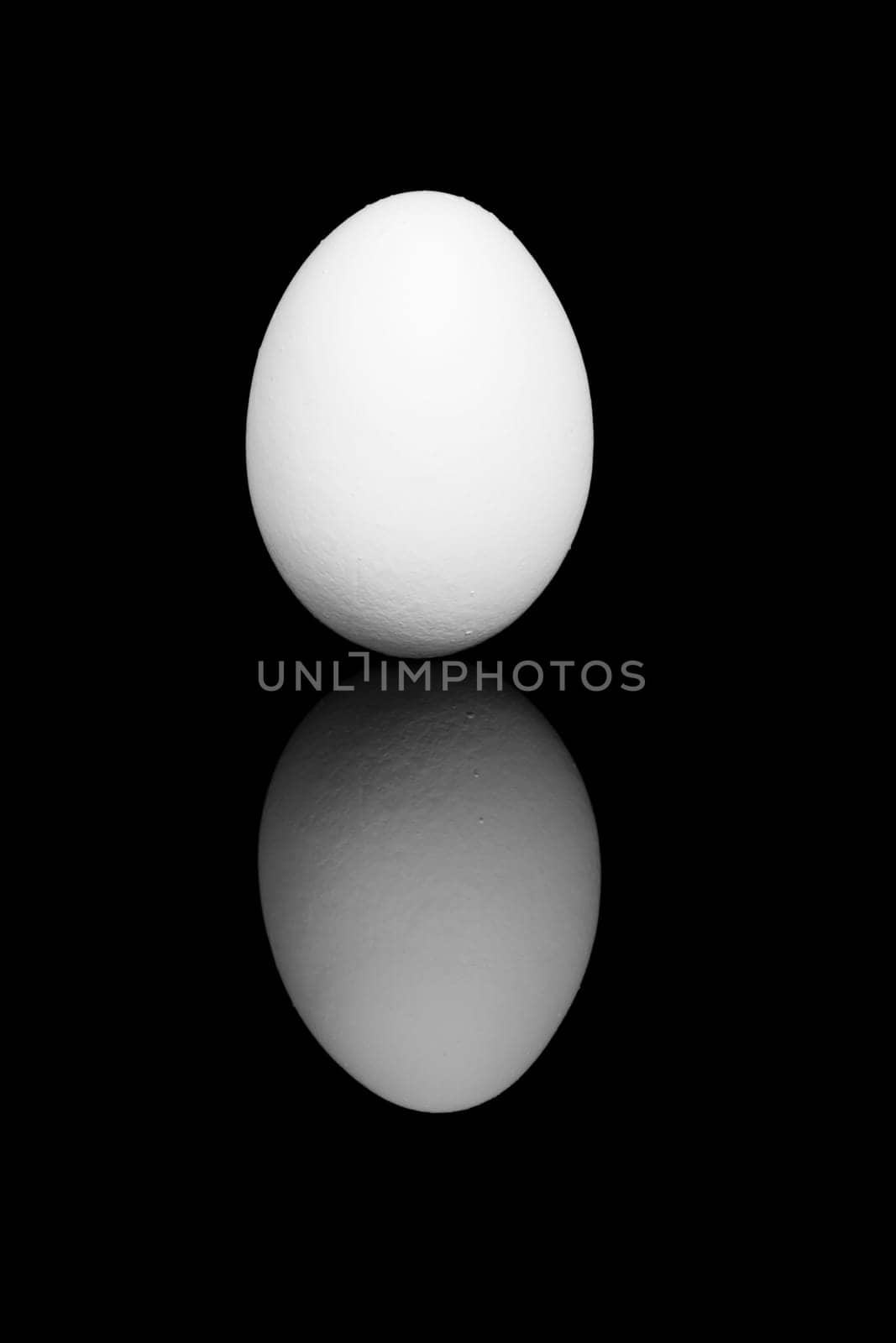 A white egg on black