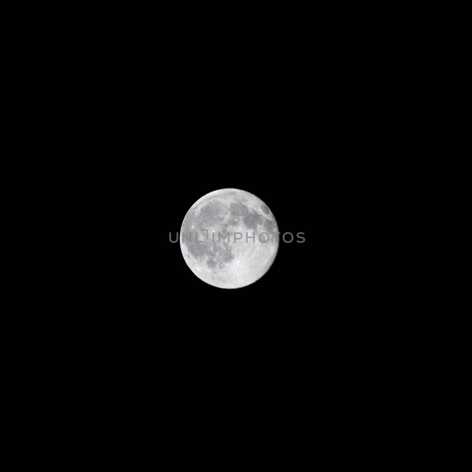 A beautiful harvest moon over a dark night sky.