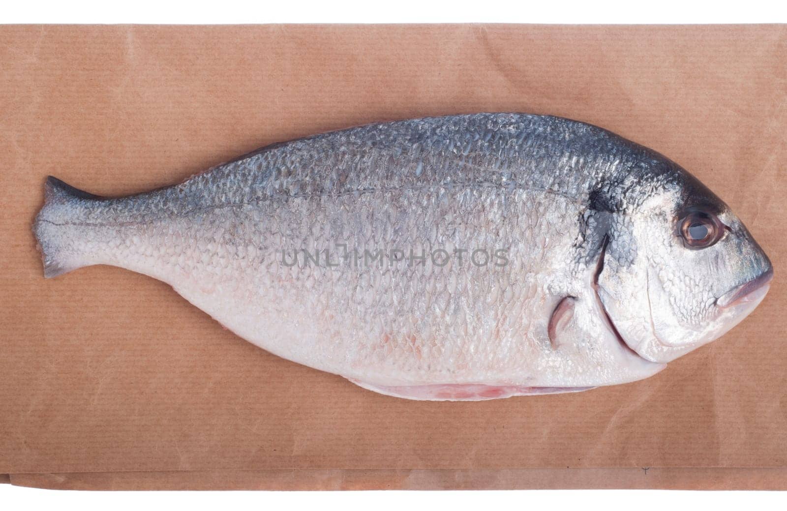 raw dorado fish on market paper bag (isolated on white background)