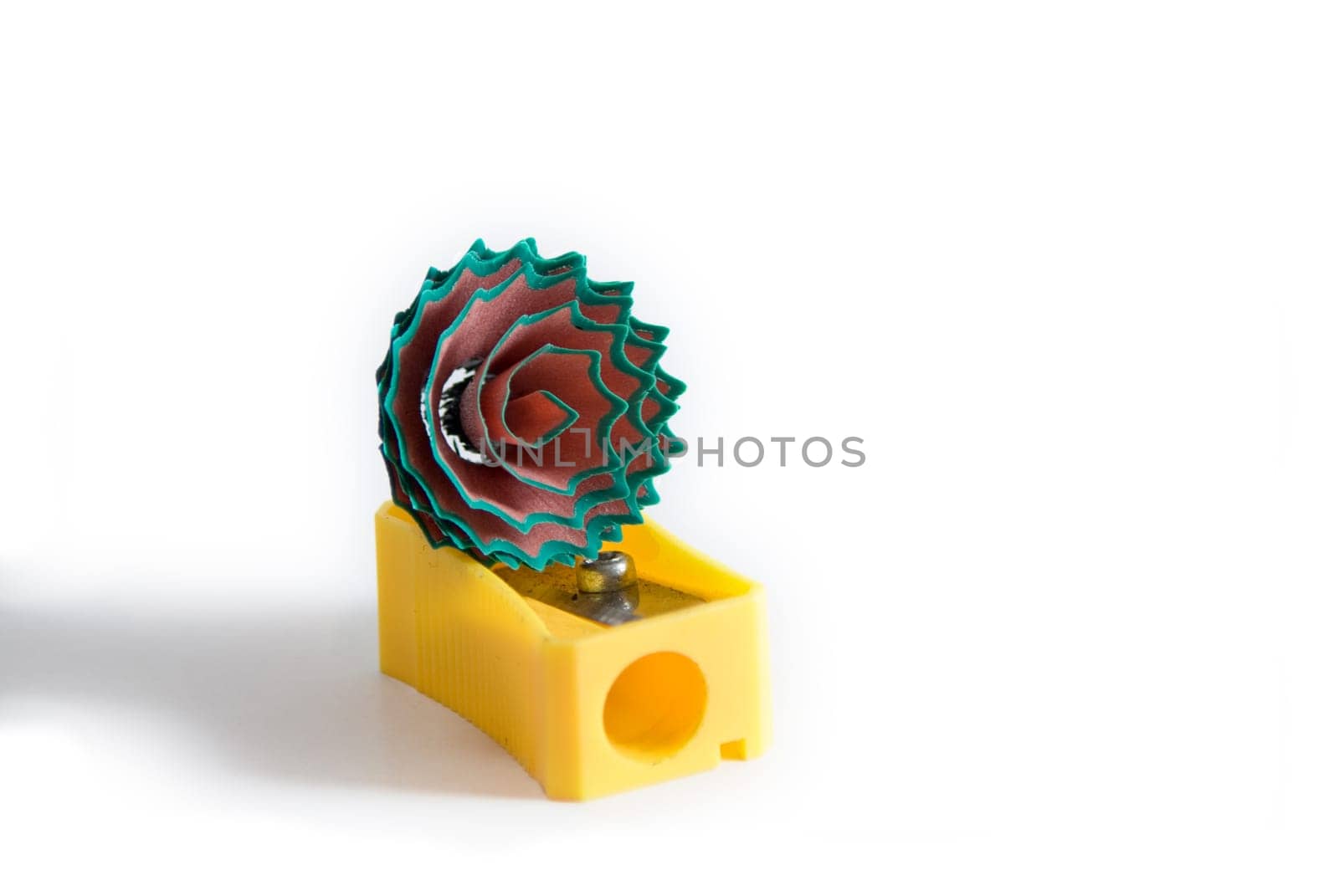 Diagonal shot of a yellow pencil sharpener with curled up green shaving, resembling a flower.