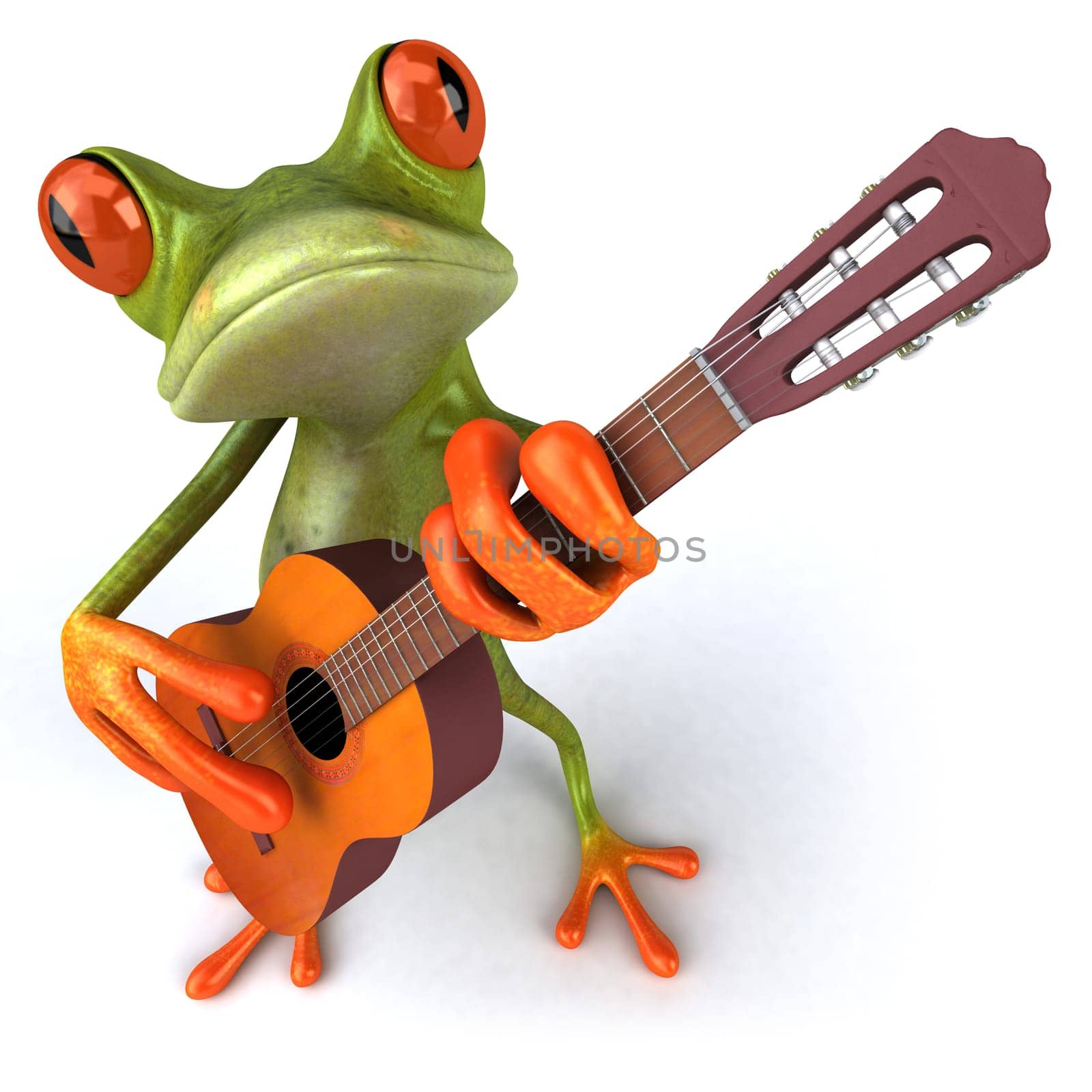 Fun frog
