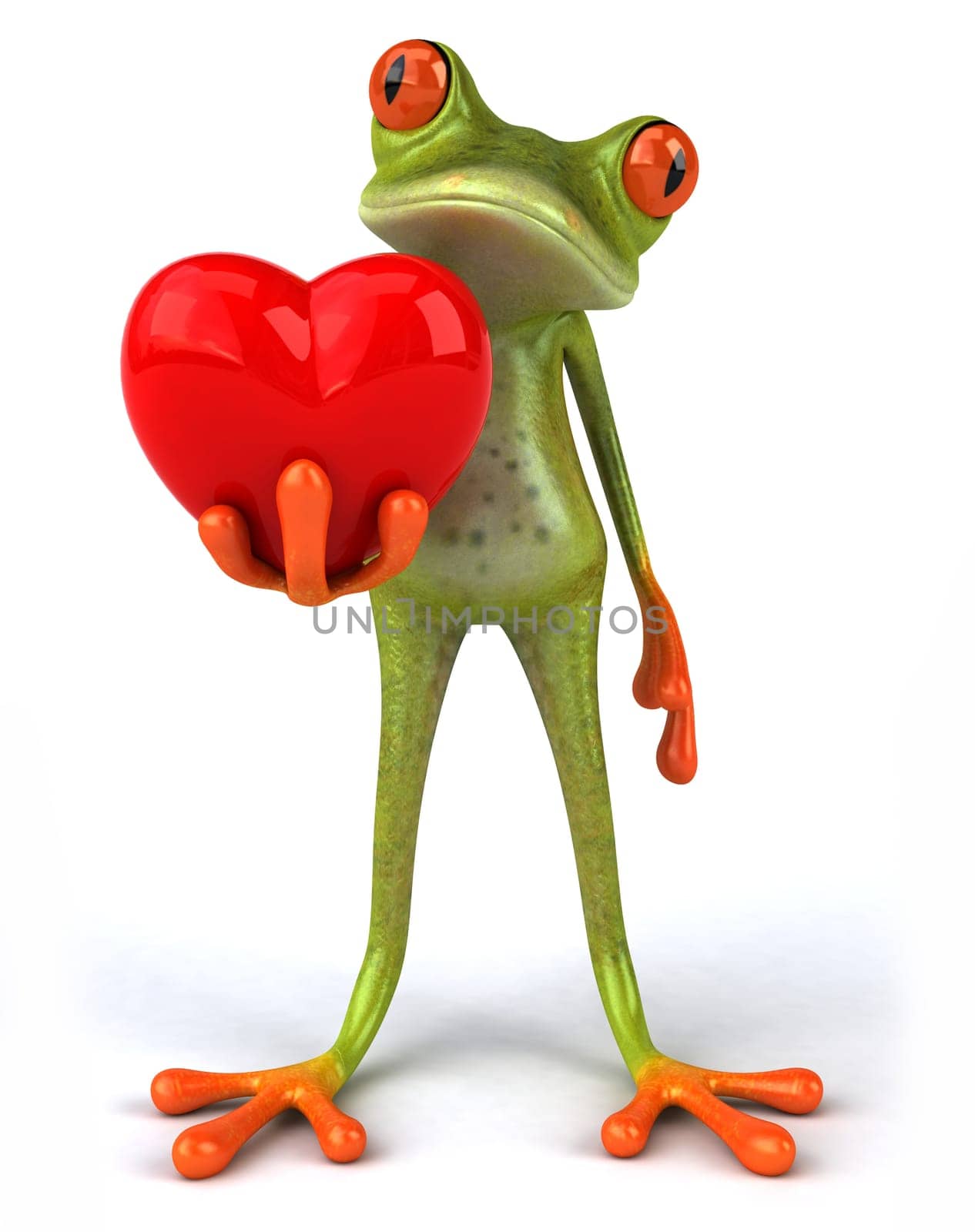 Frog in love