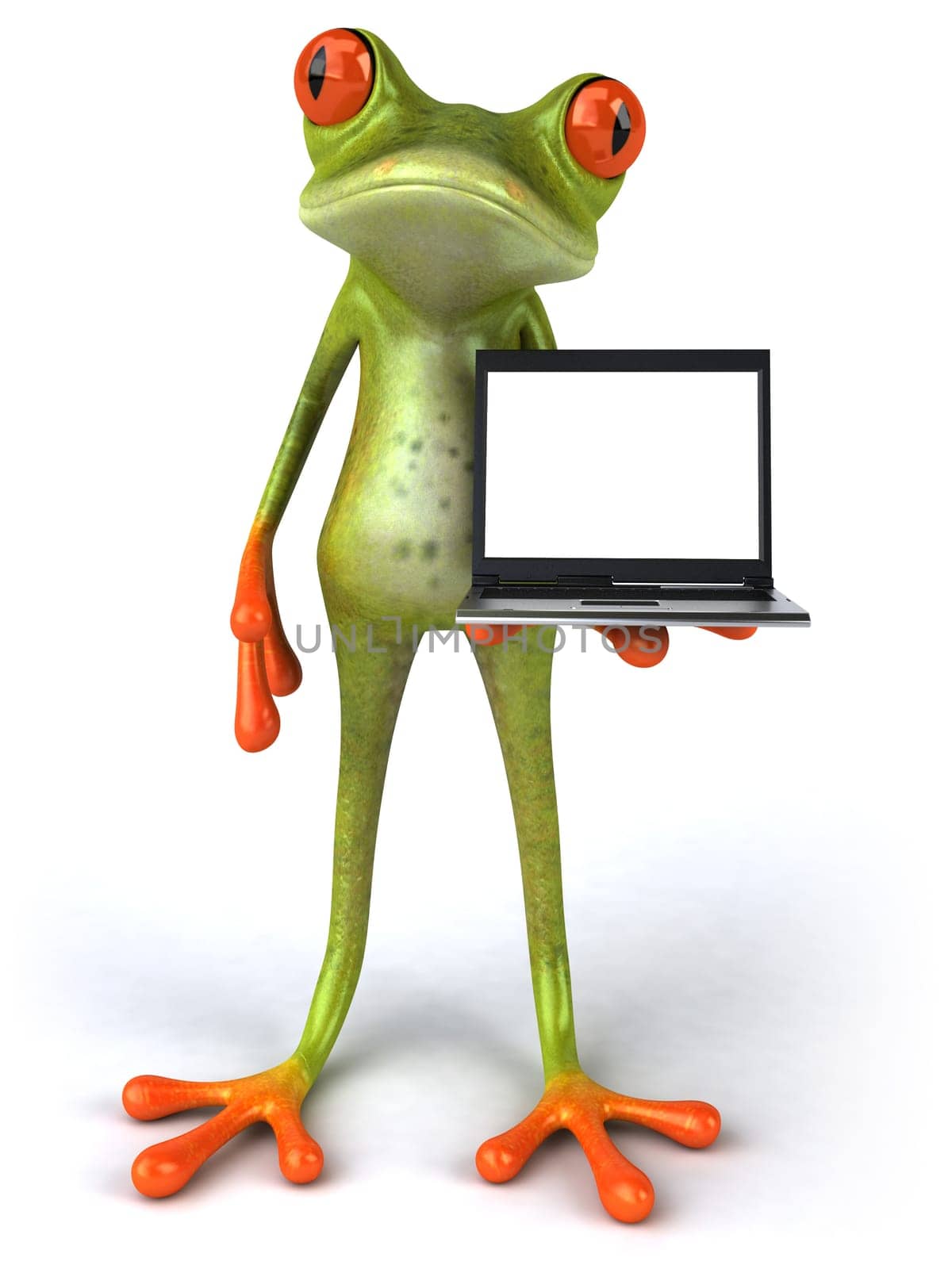 Fun frog