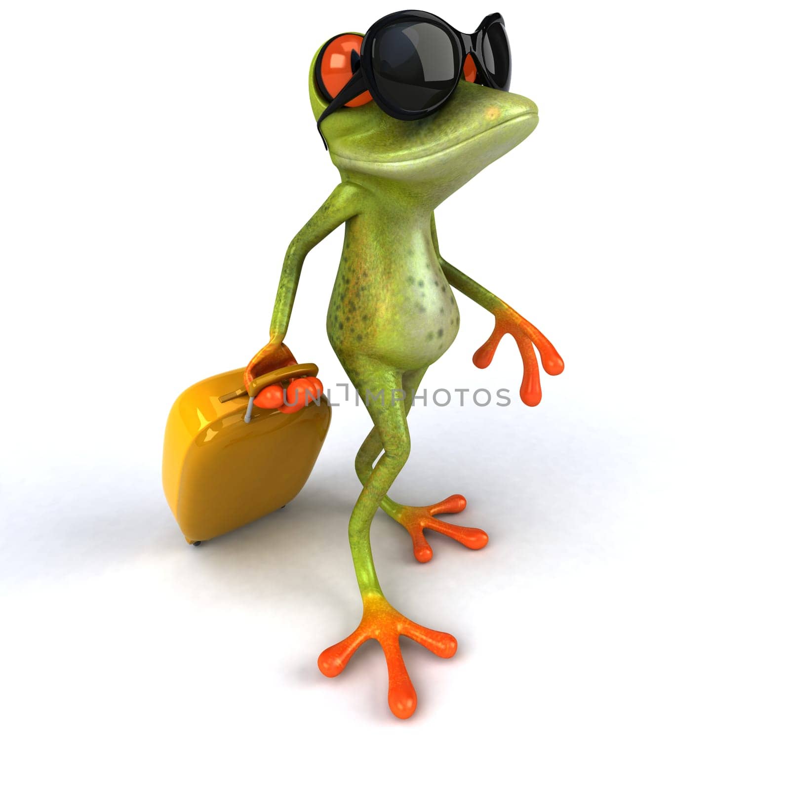 Frog on holidays