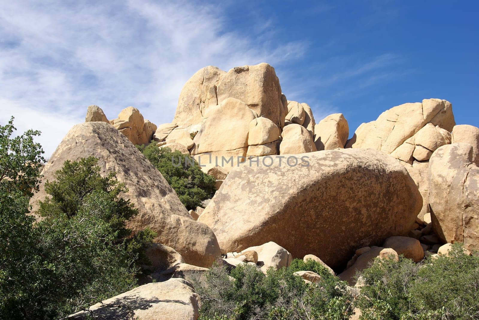 Joshua Tree National Park