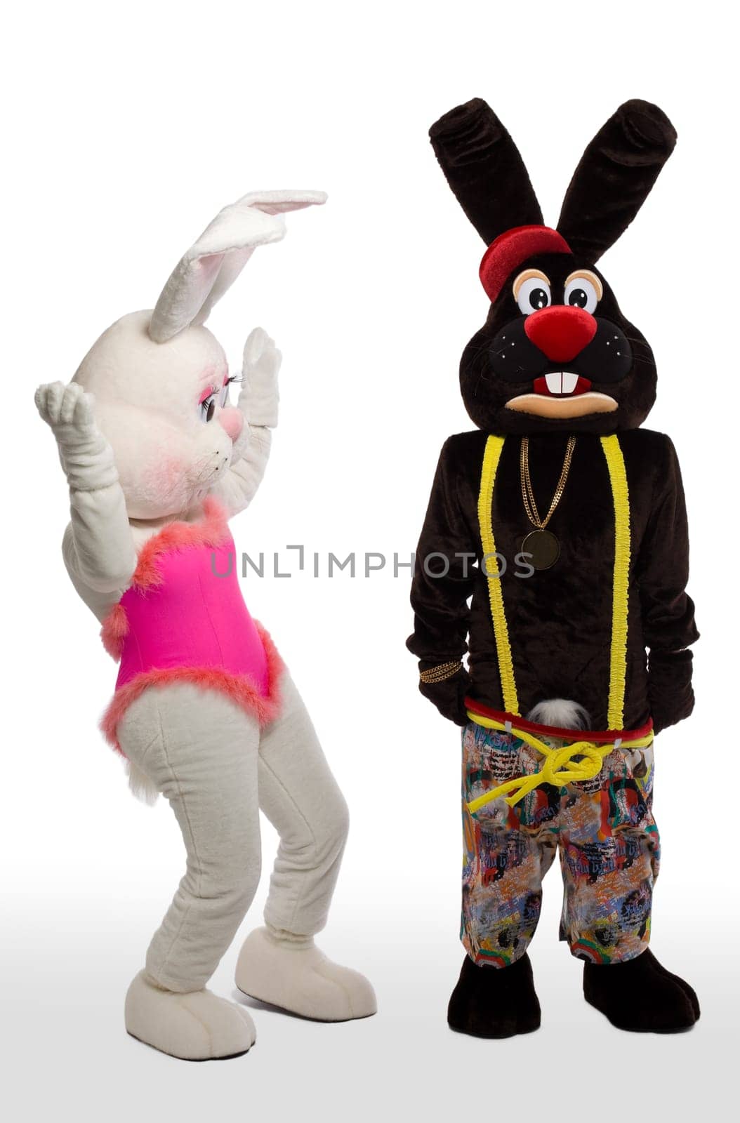 two mascot bunny costume - confused scene
