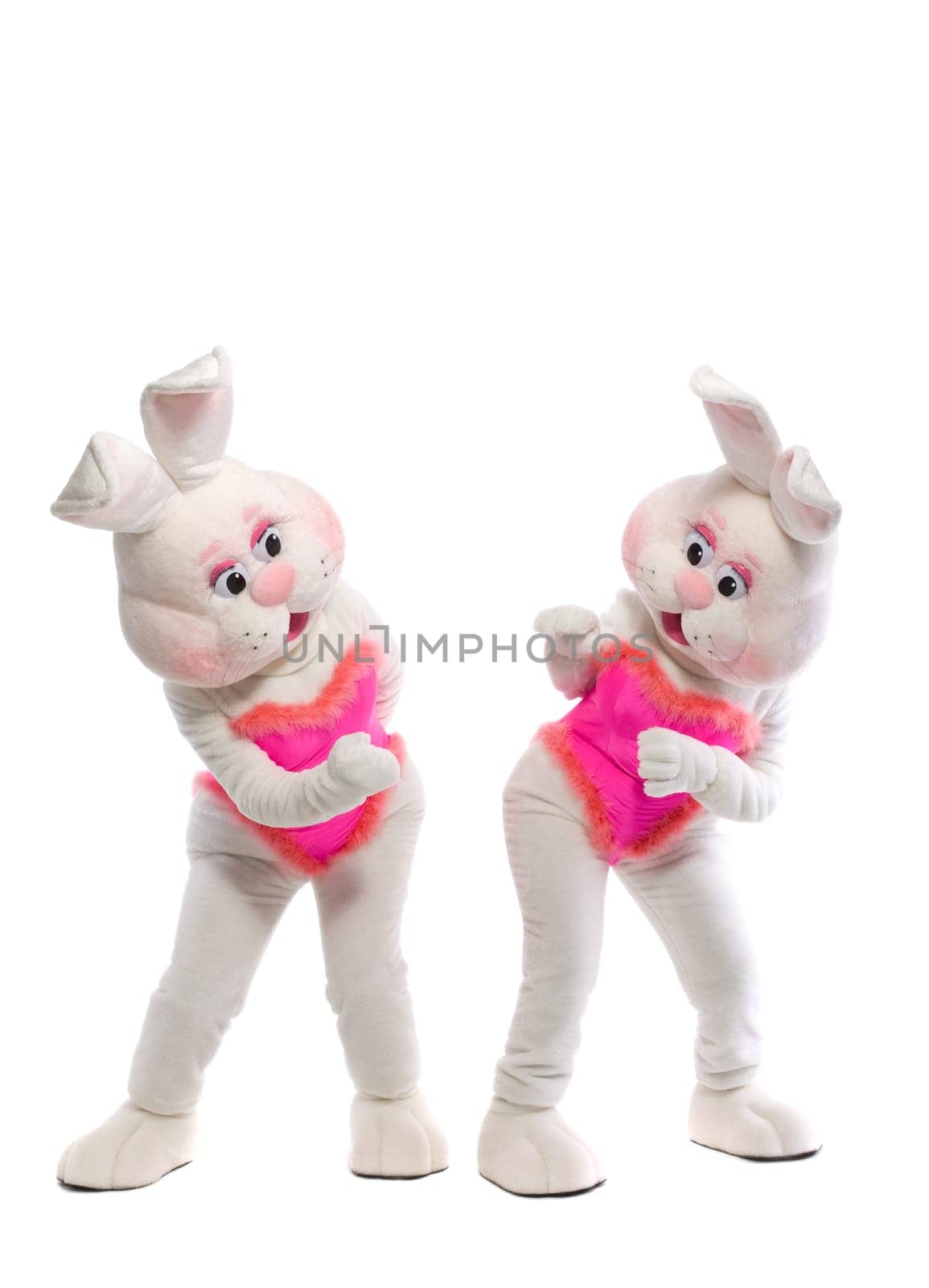 two bunny girl mascot costume play together
